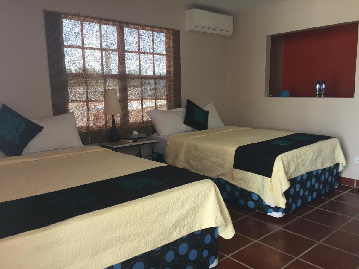 Bamboleo Inn Belize Ladyville Exterior foto